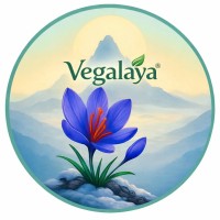 vegalaya_logo